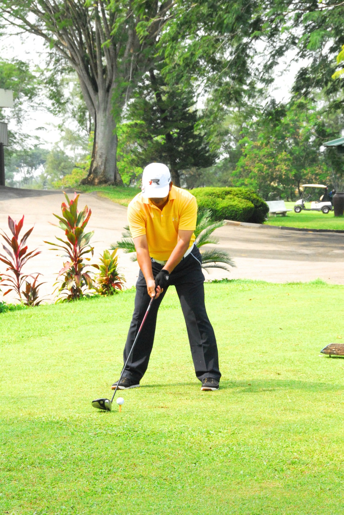 PRO15 157 GOLF DSC 0384.JPG